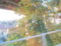 IMG_7158.jpg