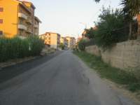 IMG_7161.jpg