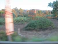 IMG_7163.jpg