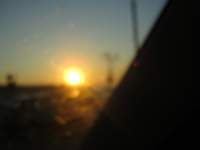 IMG_7166.jpg