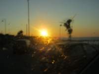 IMG_7167.jpg