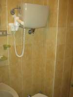 IMG_7176.jpg