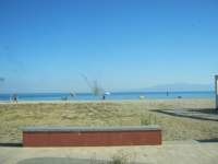 IMG_7184.jpg