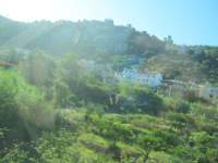 IMG_7191.jpg