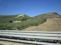 IMG_7193z_IMG_2539.jpg