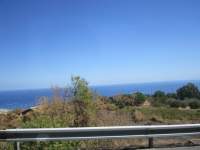 IMG_7232z_IMG_2770.jpg