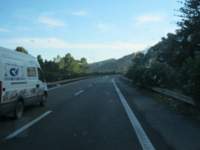 IMG_7294.jpg