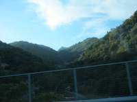 IMG_7299.jpg