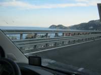 IMG_7309.jpg