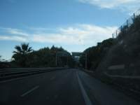 IMG_7311.jpg