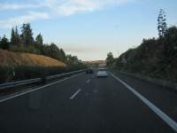 IMG_7328.jpg