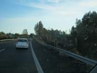 IMG_7329.jpg