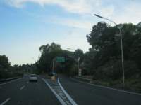 IMG_7332.jpg