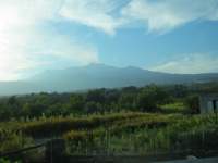 IMG_7336.jpg