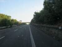IMG_7337.jpg