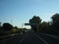 IMG_7344.jpg