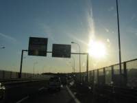 IMG_7349.jpg