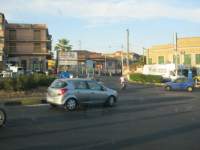 IMG_7355.jpg