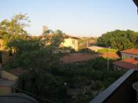 IMG_7381.jpg