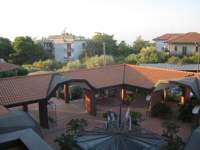 IMG_7385.jpg