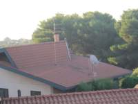 IMG_7389.jpg