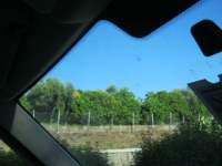IMG_7413.jpg