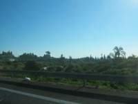 IMG_7415.jpg