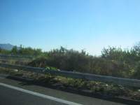 IMG_7427.jpg