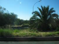 IMG_7430.jpg