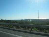 IMG_7431.jpg
