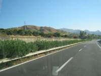 IMG_7436.jpg