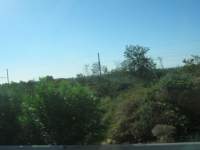 IMG_7439.jpg