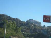 IMG_7445.jpg