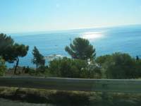 IMG_7457.jpg