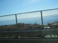 IMG_7462.jpg