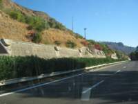 IMG_7474.jpg