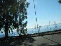 IMG_7478.jpg