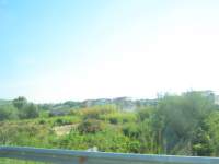IMG_7483.jpg