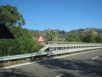 IMG_7484.jpg