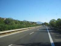 IMG_7491.jpg