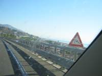 IMG_7494.jpg