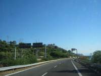 IMG_7503.jpg