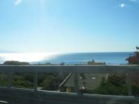 IMG_7510.jpg