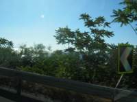 IMG_7513.jpg
