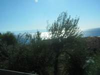 IMG_7516.jpg
