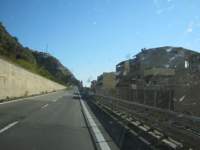 IMG_7531.jpg