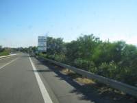 IMG_7553.jpg