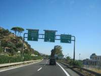 IMG_7557.jpg