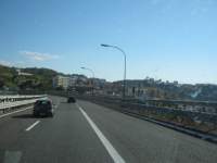 IMG_7575.jpg