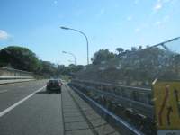 IMG_7579.jpg